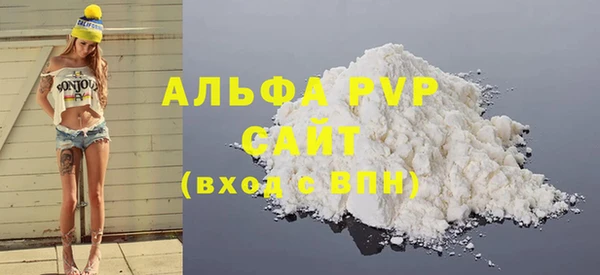 трава Няндома