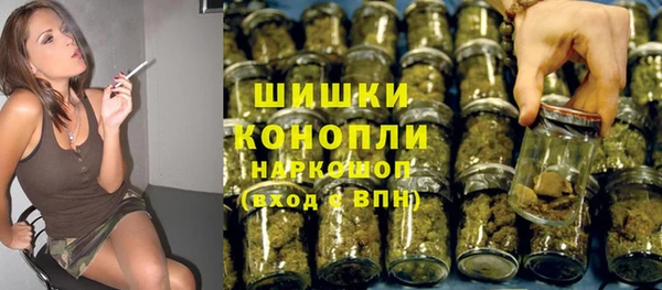 трава Няндома