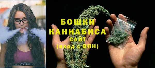 прущий лед Осташков