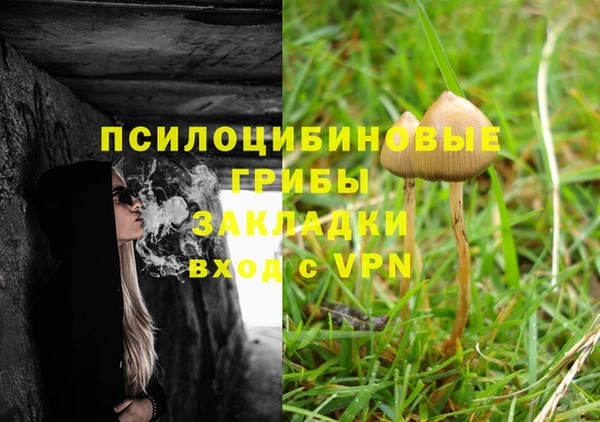 трава Няндома
