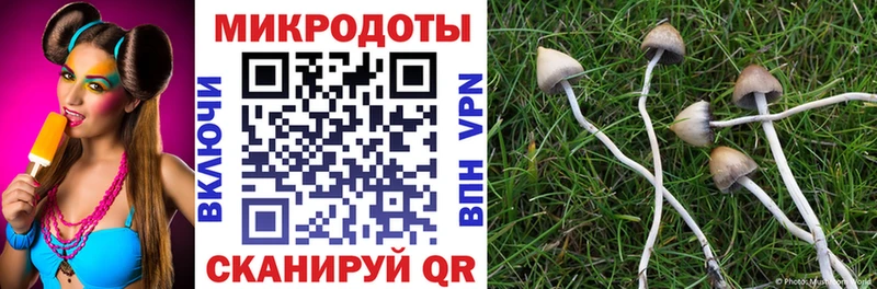 Галлюциногенные грибы мухоморы  Челябинск 