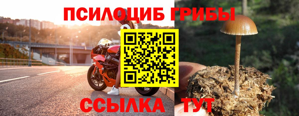 Псилоцибиновые грибы Cubensis Челябинск